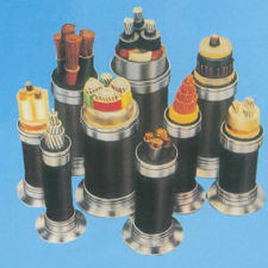 國標交聯(lián)聚乙烯絕緣聚氯乙烯護套電力電纜詳解