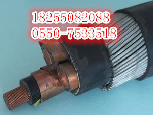 BTTVZ-4*10礦物絕緣耐高溫電纜解析 安徽天康集團的產(chǎn)品結(jié)構(gòu)與優(yōu)勢